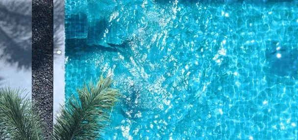 Overhead view of sparkling turquoise pool water with a premium interior finish, palm fronds at the edge